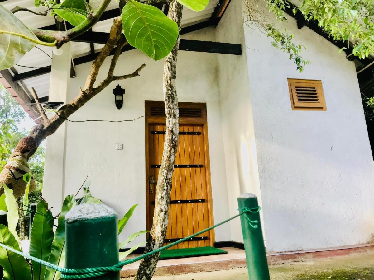 Ella Ostella Hostel Ngoại thất bức ảnh